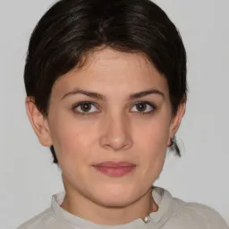 Lê Văn Hùng avatar